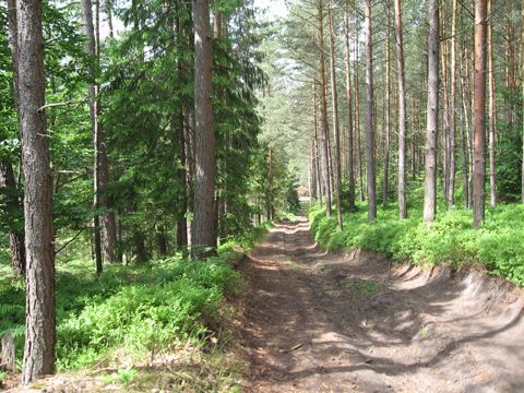 Foto 3